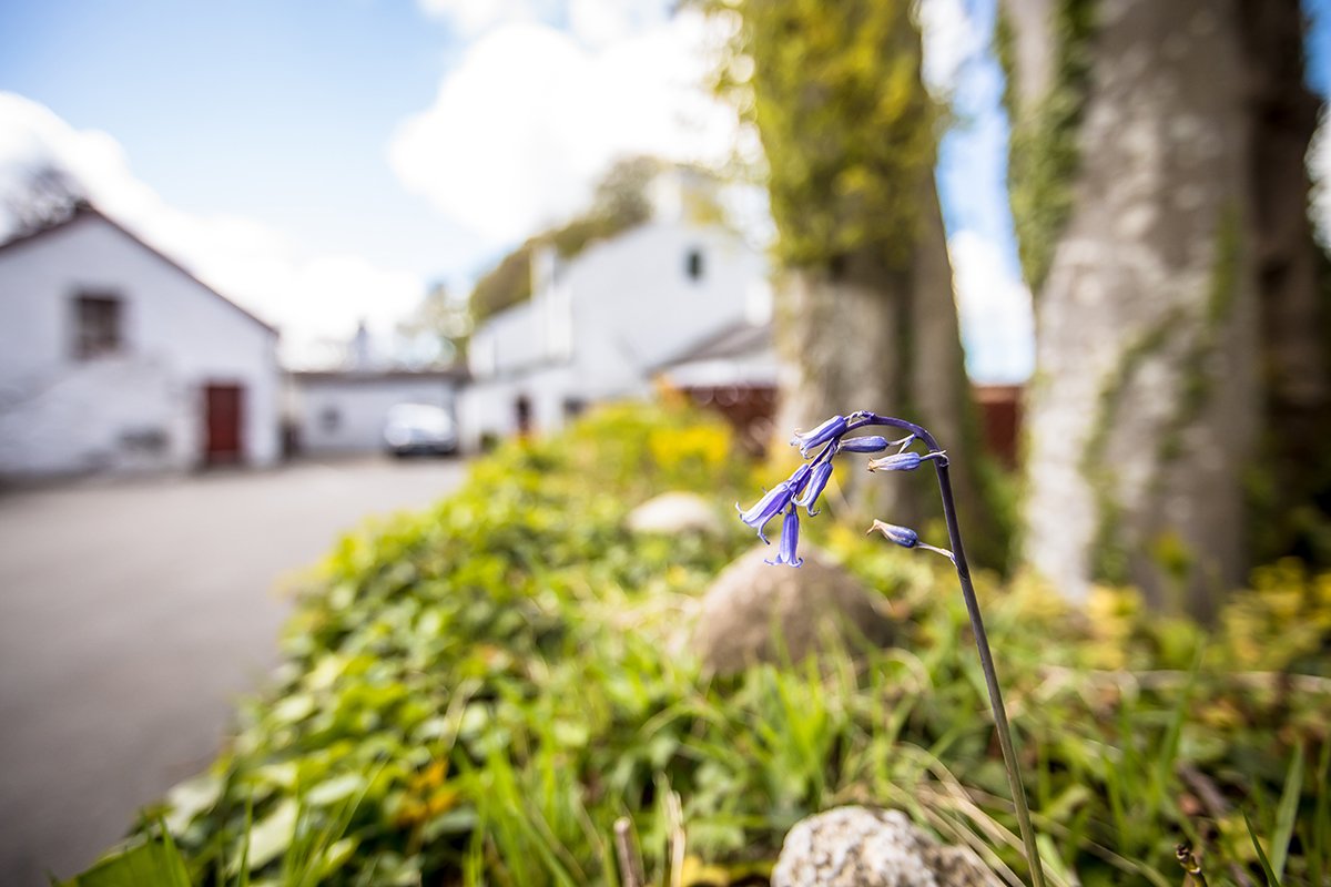 Plas Gwyn open for 2022