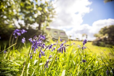 Plas Gwyn has plenty of green open space and views of the surrounding countryside