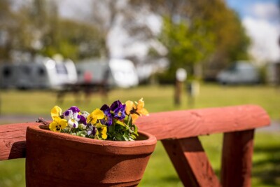 Plas Gwyn is a peaceful and quiet caravan and camp site